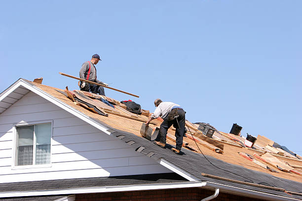 Best Cold Roofs  in Newberry, SC